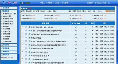 政府类地方性外事办公室网站源码