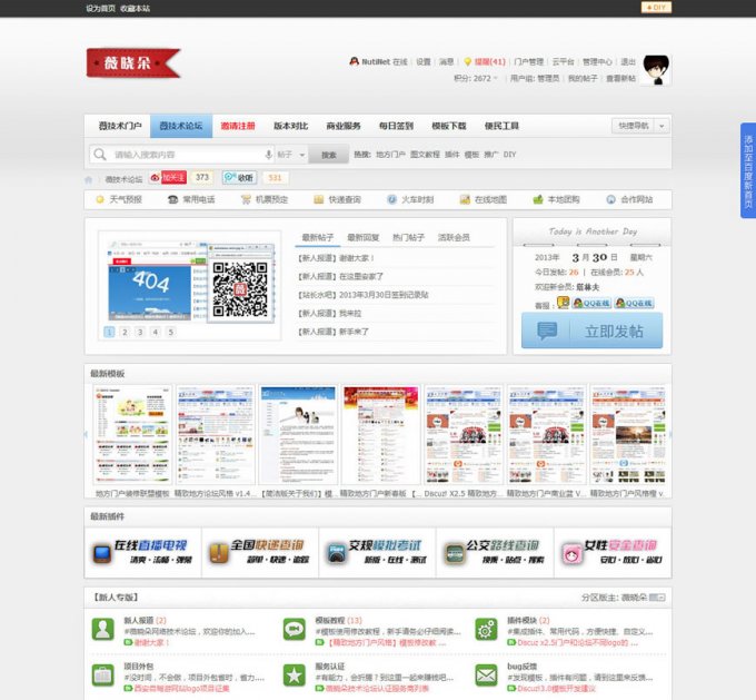 薇晓朵技术论坛 V1.3社区版GBK DZ模板 x3.2模板 价值300元