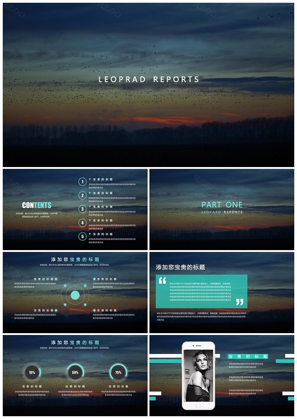 非主流夕阳飞鸟树林简约实用通用商业计划书