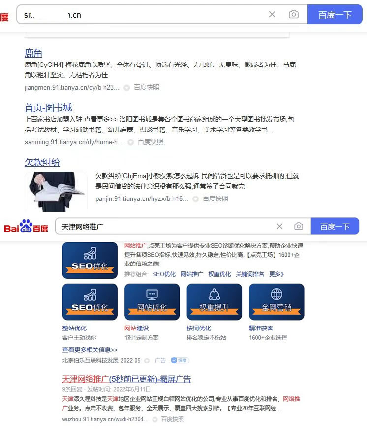天涯论坛出租多级目录做搜索霸屏 网站 微新闻 第1张