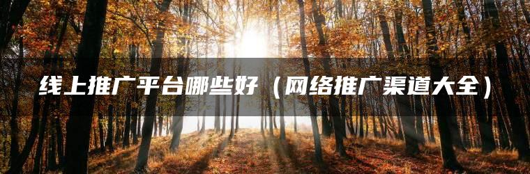 线上推广平台哪些好（网络推广渠道大全）