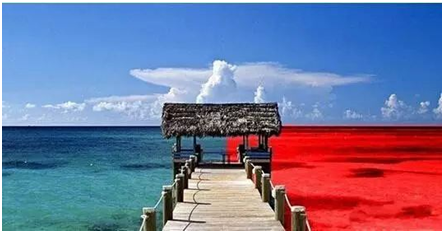 什么是蓝海和红海(一分钟让你找到商业机会)