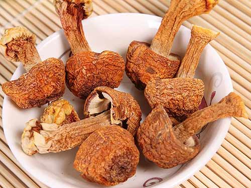 未来10大暴利种植（农业领域的新红利）