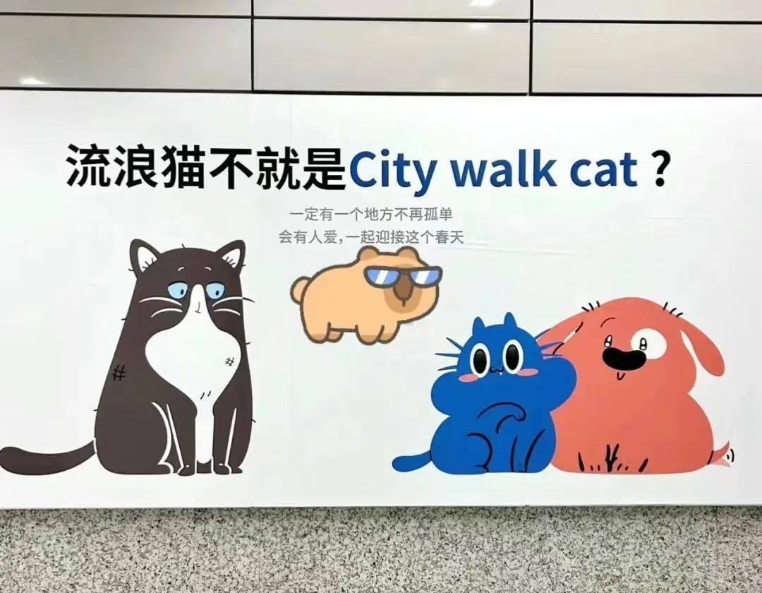 看哭全网的小狗广告翻车？反转来得太突然！