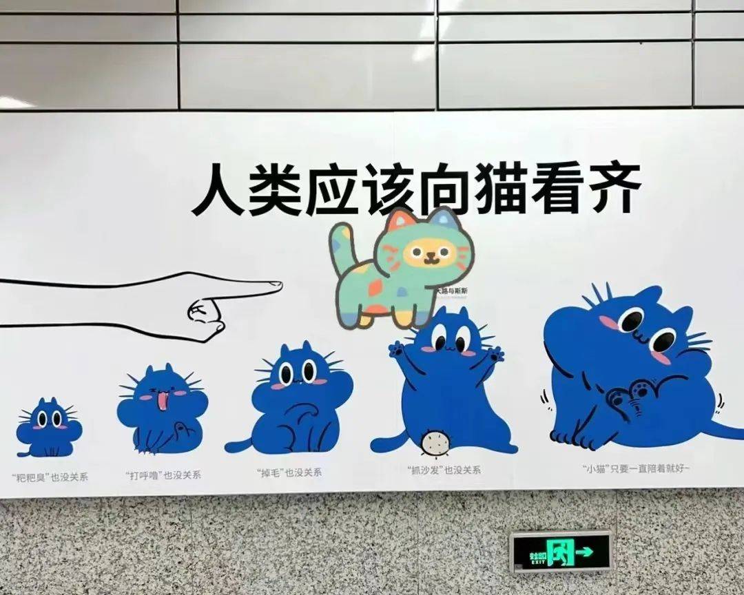 看哭全网的小狗广告翻车？反转来得太突然！