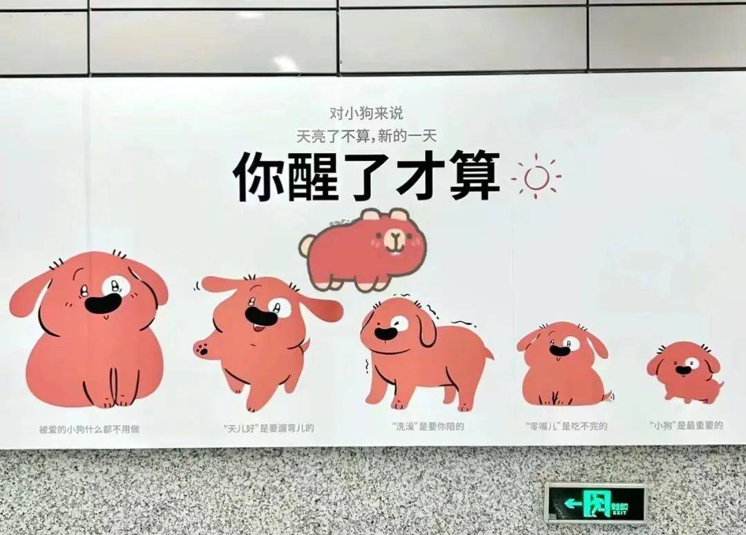 看哭全网的小狗广告翻车？反转来得太突然！