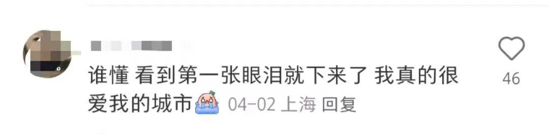 看哭全网的小狗广告翻车？反转来得太突然！
