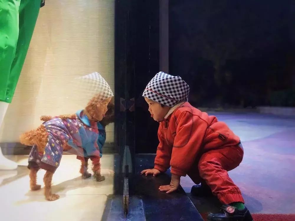 8.28 明星大咖御用摄影师,教你成为手机摄影高手