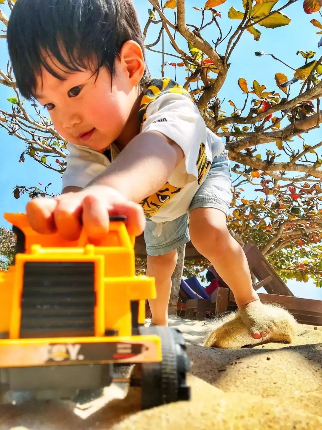 8.28 明星大咖御用摄影师,教你成为手机摄影高手