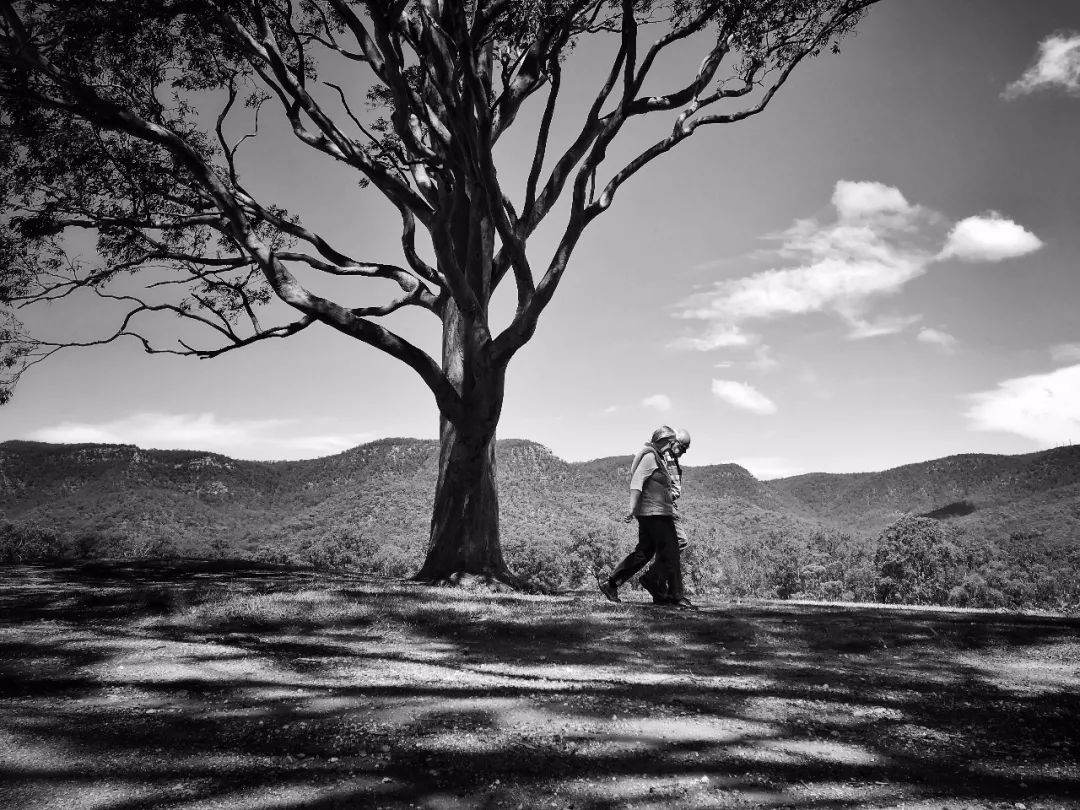 8.28 明星大咖御用摄影师,教你成为手机摄影高手