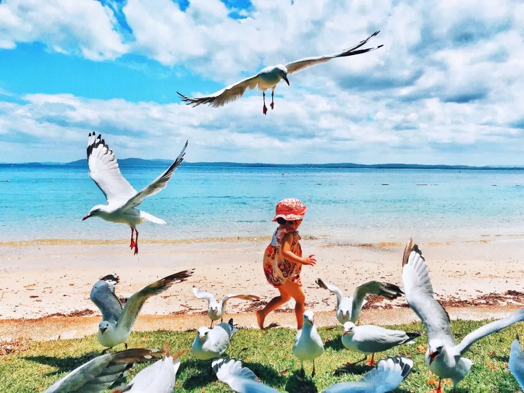 8.28 明星大咖御用摄影师,教你成为手机摄影高手