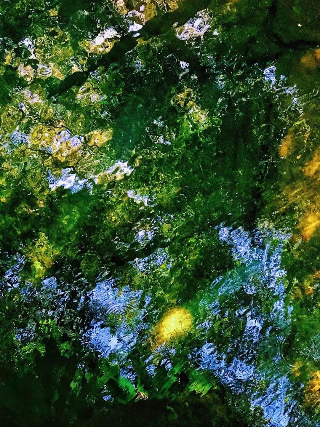 undefined 8.28 明星大咖御用摄影师,教你成为手机摄影高手