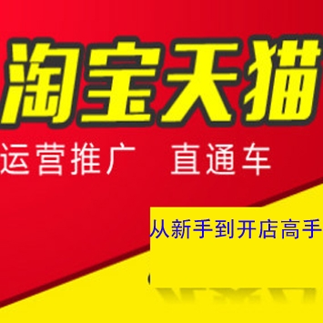 淘宝天猫运营推广培训课程新手开店到高手