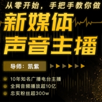 10年知名广播电台主播教你从零开始手把手教做新媒体声音主播