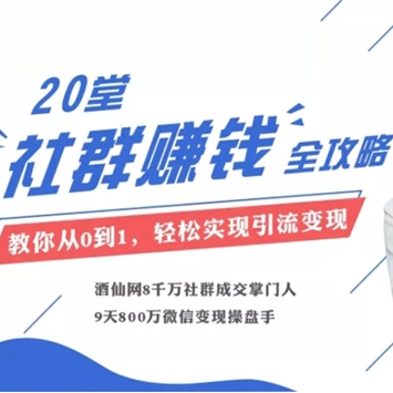 千万级社群操盘手麦子：20节即学即用全体系社群掘金大课，教你轻松赚钱