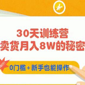 30天训练营赚钱《卖货月入8W的秘密》新手0门槛实操