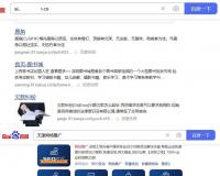 天涯论坛出租多级目录做搜索霸屏