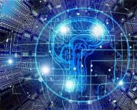 打造个人IP，是否需要付费报名学习？