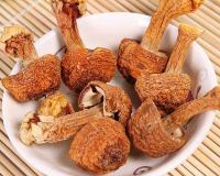 未来10大暴利种植（农村冷门暴利种植）