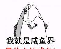 闲鱼卖东西怎么发货给买家（闲鱼发货规则和注意事项）