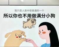 看哭全网的小狗广告翻车？反转来得太突然！