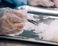 从高端走向大众，燕窝的机会在哪里？