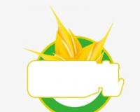 麦芽购物搜索在哪里？怎么搜图找到想要的商品？