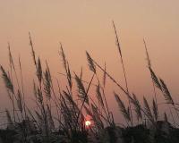 市场营销的概念是什么（解析市场营销复习重点）